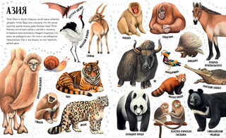 Приключения улитки Элли в мире животных. Первые книжки малыша 2