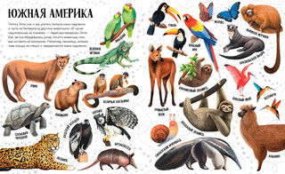 Приключения улитки Элли в мире животных. Первые книжки малыша 4