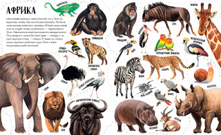 Приключения улитки Элли в мире животных. Первые книжки малыша 6