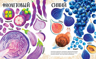 Приключения улитки Элли в мире фруктов и овощей. Первые книжки малыша 5