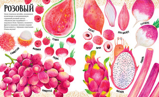 Приключения улитки Элли в мире фруктов и овощей. Первые книжки малыша 6