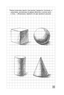 Творческий курс по рисованию. Котики и их друзья 8