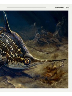 Загадки древних водных рептилий 17