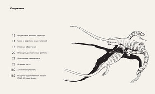 Загадки древних водных рептилий 8