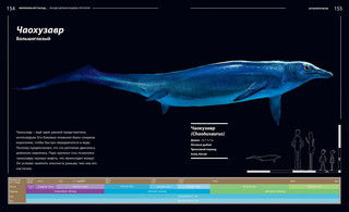 Загадки древних водных рептилий 3