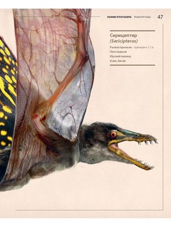 Секреты летающих ящеров 12