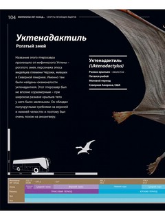 Секреты летающих ящеров 14