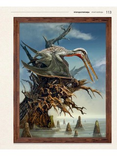 Секреты летающих ящеров 15