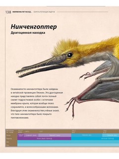 Секреты летающих ящеров 16