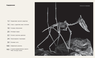 Секреты летающих ящеров 6