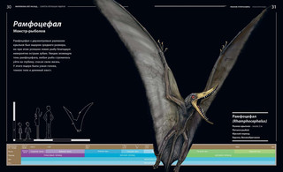 Секреты летающих ящеров 8