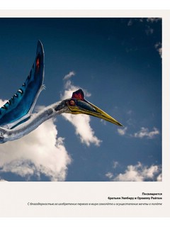 Секреты летающих ящеров 11