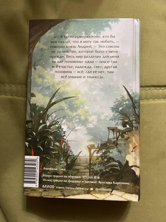 Война и мир. Том 1-2 10