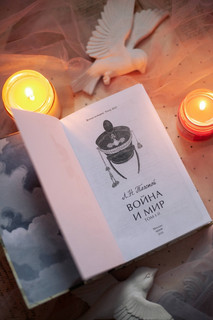 Война и мир. Том 1-2 4