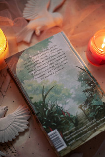 Война и мир. Том 1-2 6