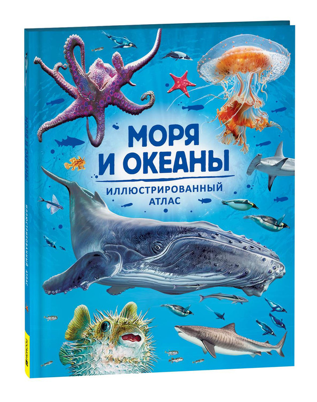 Моря и океаны