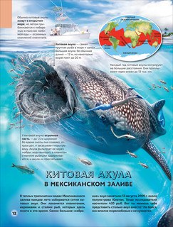 Моря и океаны 4