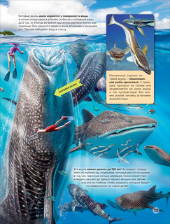 Моря и океаны 5