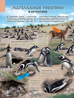 Моря и океаны 6