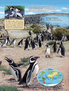 Моря и океаны 7