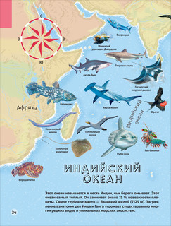 Моря и океаны 8