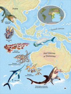 Моря и океаны 9