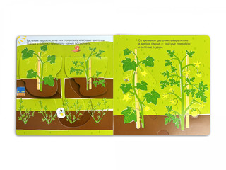 Собираем урожай. Развивающая 3D-книга 2