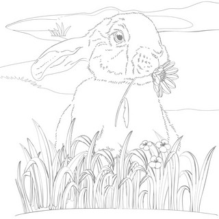 Сюжеты для акварели Юному художнику (белки) 2