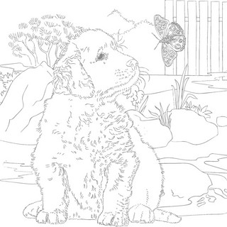 Сюжеты для акварели Юному художнику (белки) 3