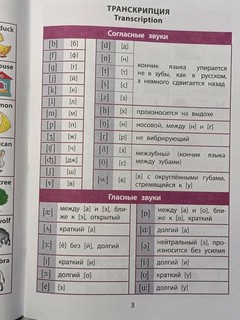 Справочник в таблицах. Английский язык, 1-4 класс 7