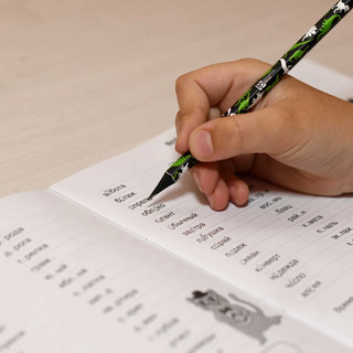 Тренажер 'Словарные слова' 1-4 класс 8