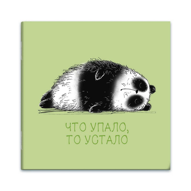 Блокнот 'Усталая панда', 32 листов, клетка