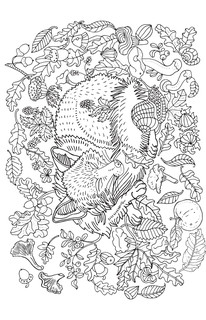 Хитрые лисята. Открытка-раскраска 14