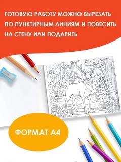 Мир вокруг. Альбом для раскрашивания 4