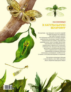 Насекомые в натуральную величину 2