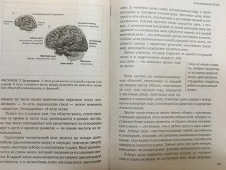 Мозг подростка. Спасительные рекомендации нейробиолога для родителей тинейджеров 3
