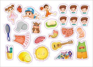 Тело человека. Книга с липучками 11