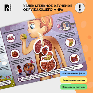 Тело человека. Книга с липучками 3