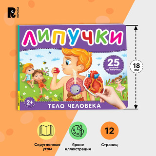 Тело человека. Книга с липучками 6