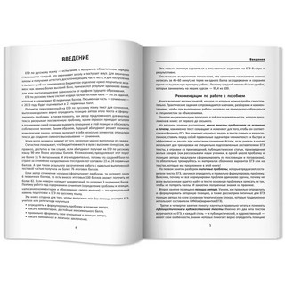 Идеальное сочинение. Подготовка к ЕГЭ. Проблема 8