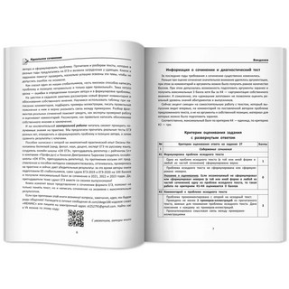 Идеальное сочинение. Подготовка к ЕГЭ. Проблема 9