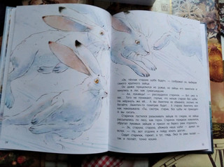 Серая Шейка 10