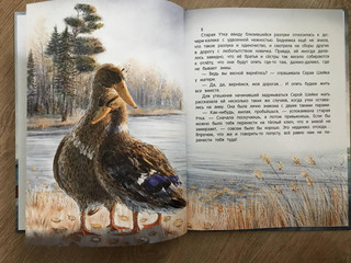 Серая Шейка 13