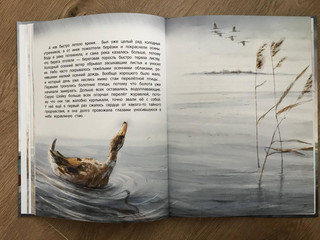 Серая Шейка 14