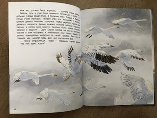 Серая Шейка 15