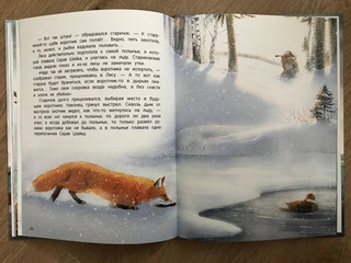 Серая Шейка 17