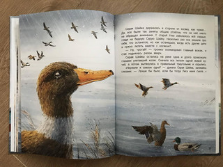 Серая Шейка 3