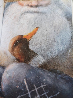 Серая Шейка 20