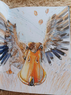 Серая Шейка 21