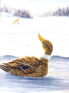 Серая Шейка 5